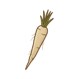 Schwarzwurzel
