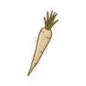 Schwarzwurzel