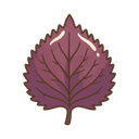 Shiso