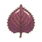 Shiso