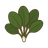 Spinat