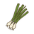 Frühlingszwiebel