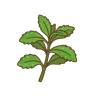 Stevia