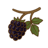 Stachellose Brombeere
