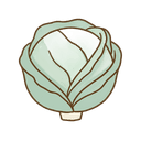 Weißkohl
