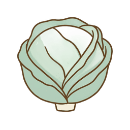 Weißkohl