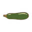 Zucchini