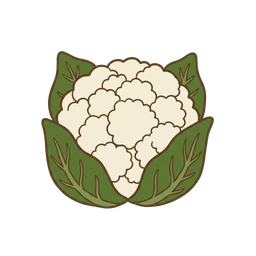 Blumenkohl